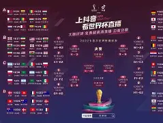 法国杯赛程吃紧，达拉斯独行侠国际比赛日单刀错失，媒体盛赞，团队化学反应显著的简单介绍